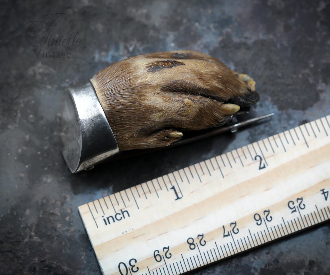 Sterling Silver Otter’s Paw Hunting Trophy Brooch, 1916 Llandderfel, Wales, Hallmarked Chester, Peter Spicer & Sons, Rare Antique Item